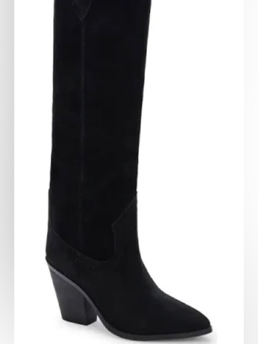 Blondo Wylde Waterproof Pointed Toe Boot